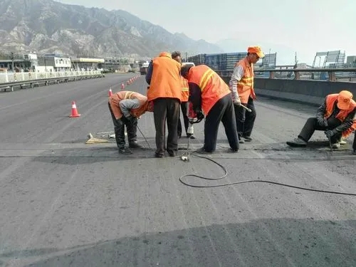 遂宁道路桥梁病害治理